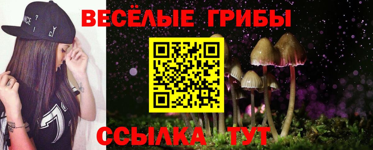 Галлюциногенные грибы Cubensis Чапаевск