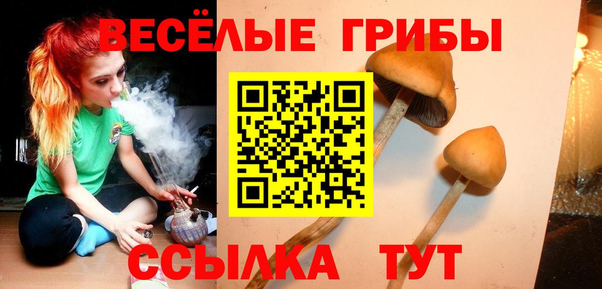 Чапаевск  Галлюциногенные грибы мухоморы  Вход с VPN  продажа наркотиков  Галлюциногенные грибы Psilocybe 